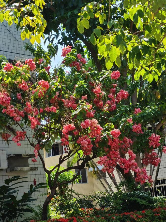 Apartamento Parque Jatiuca Leilighet Maceió Eksteriør bilde